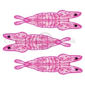 Pro 3D Shrimp Shell Medium. Clear/Pink