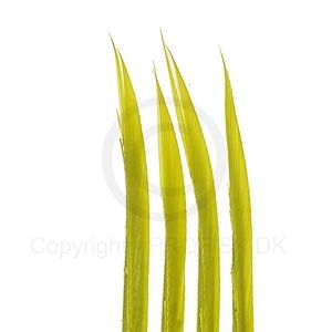 Turkey Biots Caddis Green