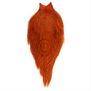 Whiting American Rooster Cape Burnt Orange