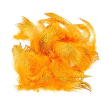 Grey Mallard flank Fluo Orange