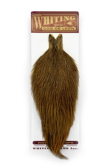 Whiting Coq De Leon Hanenakke Ginger Pardo