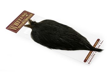 Whiting Coq De Leon Hanenakke Black