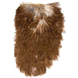 Whiting 4B Hen Saddle Brown