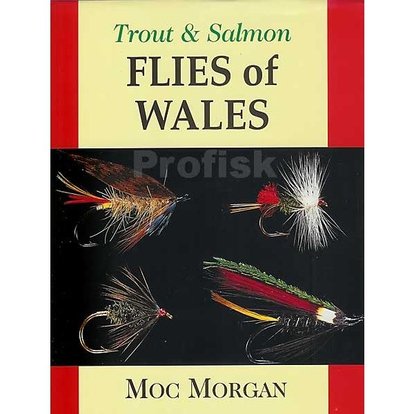 Flies of Wales