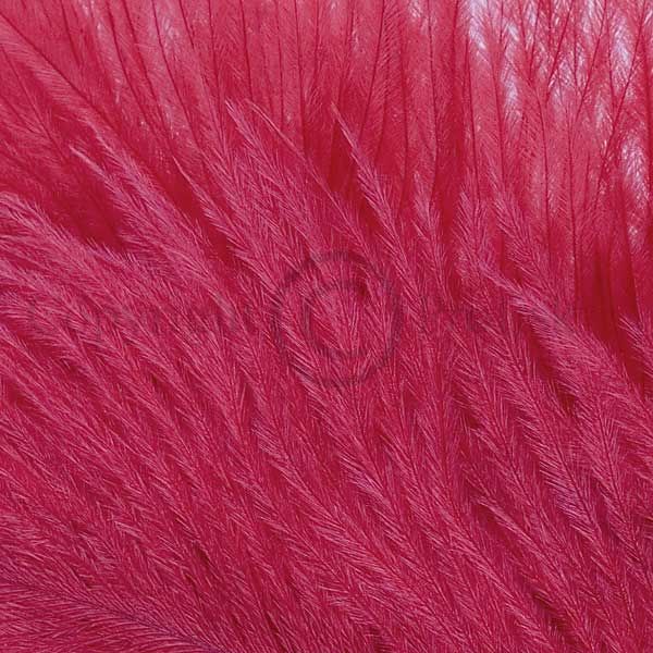 Spey Plumes Red