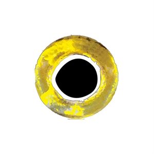 Pro Flexi Eyes 6mm Gold