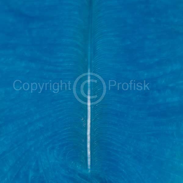 Spey Plumes Kingfisher Blue