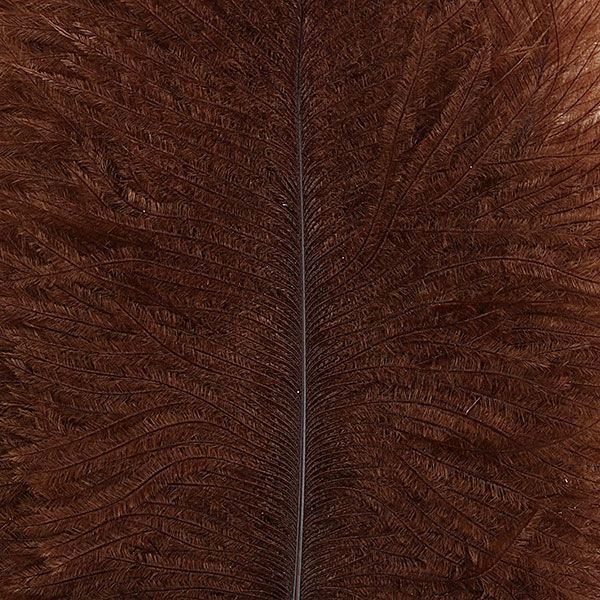 Spey Plumes Brown