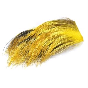 Wild Boar Yellow