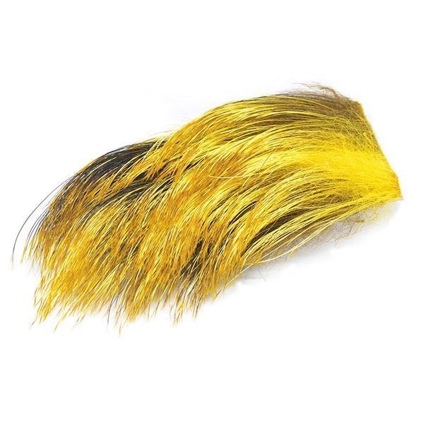 Wild Boar Yellow