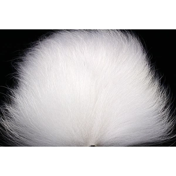 Tanuki White