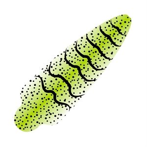 Pro Shrimp Shell WOE Large Chartreuse