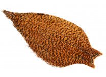 Whiting American Rooster Cape Grizzly Shrimp Orange
