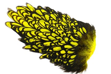 Whiting American Hen Saddle Black Laced - Yellow