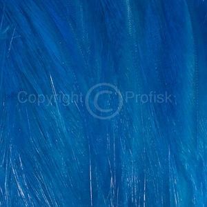Hanehackler Kingfisher Blue
