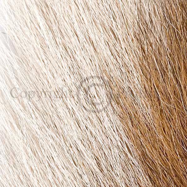 Bucktail Tan
