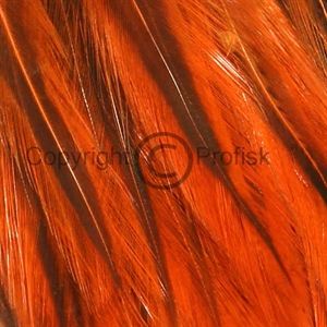 Badger hackler Orange