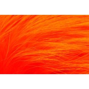 Pro Finn Racoon Hot Orange