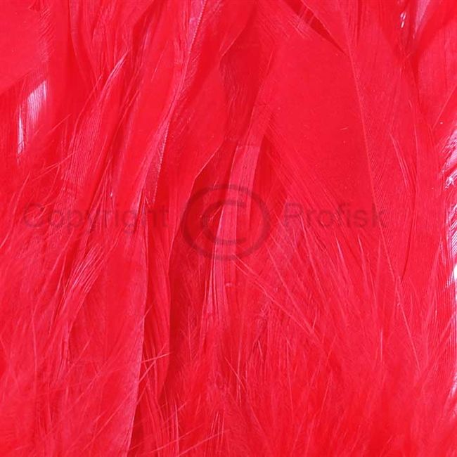 Schlappen fjer L Red