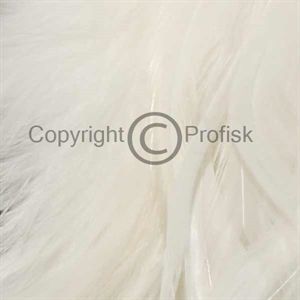 Schlappen fjer L White