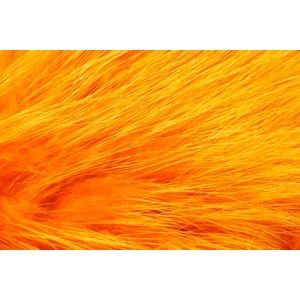 Pro Finn Racoon Sunburst Orange