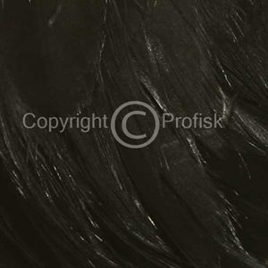 Schlappen fjer L Black