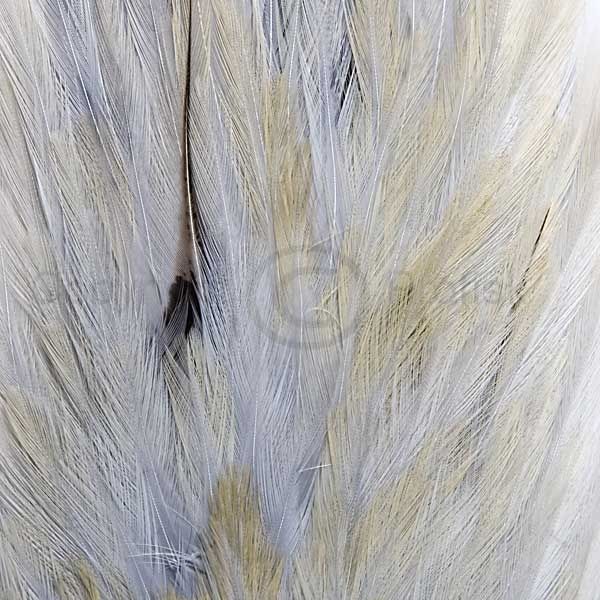 Hanesadler Grey