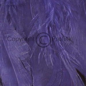 Schlappen fjer L Purple