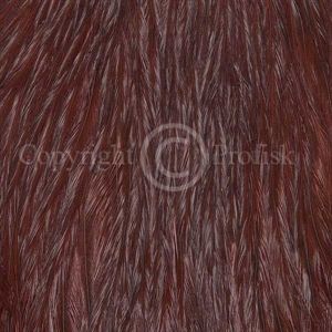 Streamer rooster necks Fiery Brown