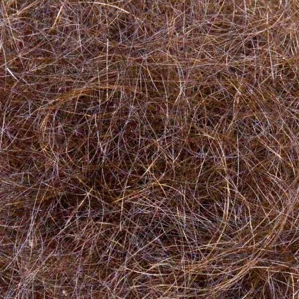 Angora Goat Dub Brown