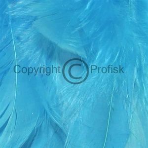 Schlappen fjer L Kingfisher Blue