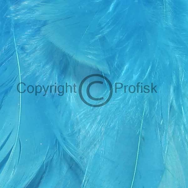 Schlappen fjer L Kingfisher Blue