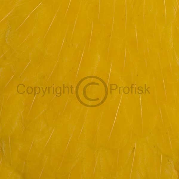 Hen Saddle Yellow