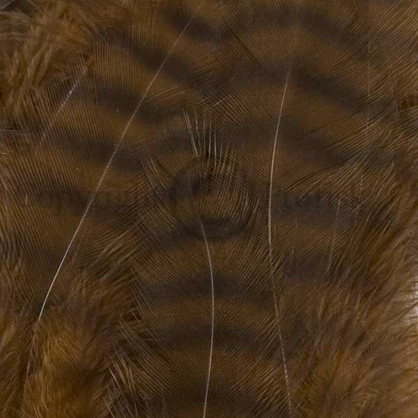 Grizzly Soft Hackle Brown