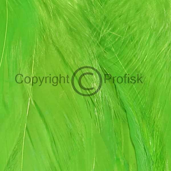 Schlappen fjer L Green Highlander