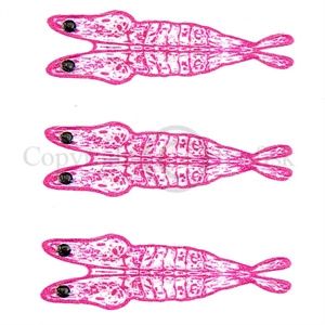 Pro 3D Shrimp Shell X-Smal Clear/Pink