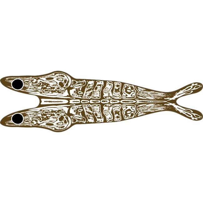 Pro 3D Shrimp Shell Small Brown/Clear