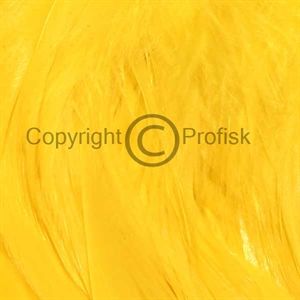 Schlappen fjer L Yellow