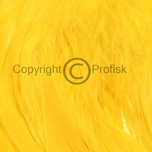 Schlappen fjer L Yellow