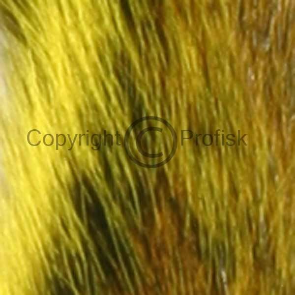 Silver Tippet Egern Fl Yellow