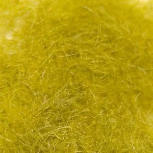 CDC  Dub Yellow