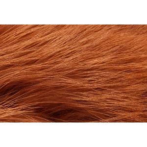 Pro Finn Racoon Fiery Brown