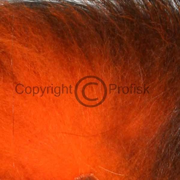 Sølvræv hale Orange