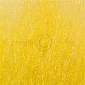 Isbjørn Yellow