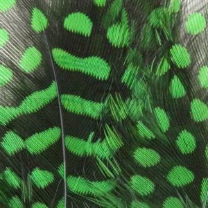 Perlehøne kropsfjer Green Highlander