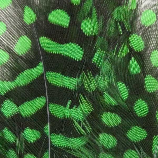 Perlehøne kropsfjer Green Highlander