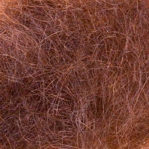 Angora Goat Dub Fiery Brown