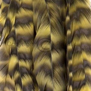 FM Schlappen Grizzly/Golden