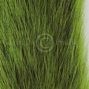 Silver Tippet Egern Green