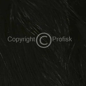 Blood Quill Marabou Black